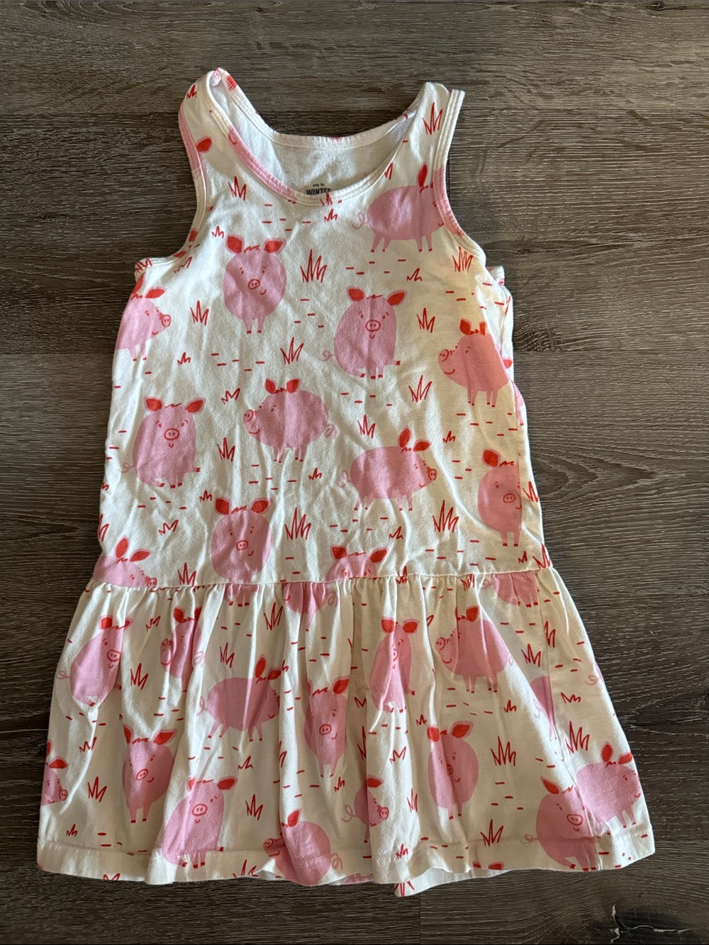 Winter Water Factory pig dress, size 6